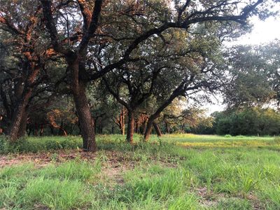 New construction Single-Family house 1906 Coleman Ranch Rd, Tolar, TX 76476 null- photo 3 3