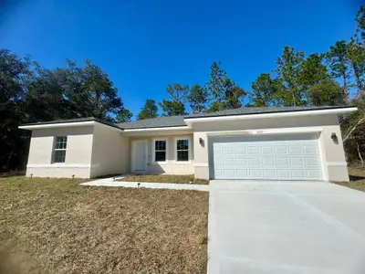 New construction Single-Family house 6809 Sw 149Th Lane Rd, Ocala, FL 34473 - image