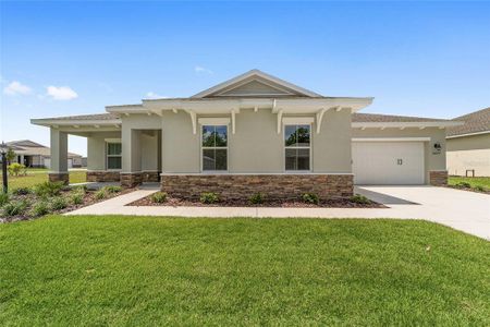 New construction Single-Family house 10079 Sw 106Th Cir, Ocala, FL 34481 - image