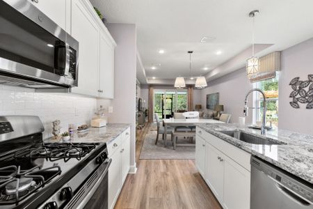 New construction Single-Family house 26 Owenlee Ct, Nocatee, FL 32081 plan The Apopka - image 20