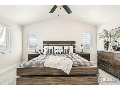 New construction Single-Family house 15 Snowcap Dr, Windsor, CO 80550 - image 11