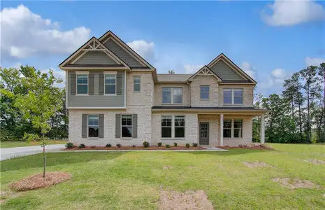 New construction Single-Family house 116 Haverling Pass, Hampton, GA 30228 - image