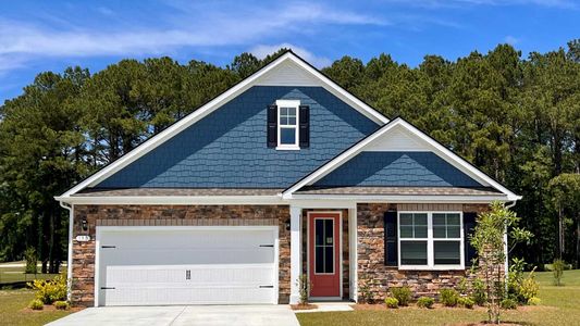 New construction Single-Family house 190 Bantry Ln, Conway, SC 29526 plan Darby - image