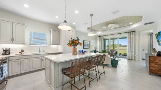 New construction Multi-Family house 10025 Hammock Brook Dr, Parrish, FL 34219 plan Crystal Sand 2 - image 8