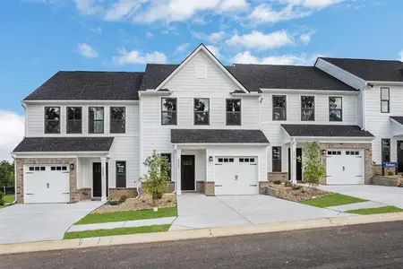 New construction Single-Family house 2420 Green Juniper Wy, Gainesville, GA 30507 - image