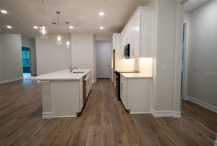 New construction Single-Family house 159 N Kinglet Ave, Hernando, FL 34442 - image 9