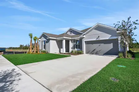 New construction Single-Family house 17397 Crisp Apple Ln, Land O' Lakes, FL 34638 plan Arlington - image