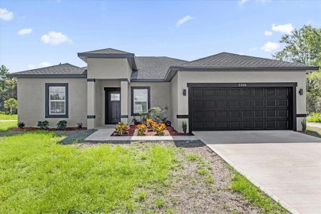 New construction Single-Family house 2258 Sw 165Th Street Rd, Ocala, FL 34473 - image