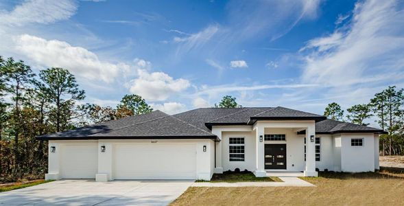 New construction Single-Family house 16117 Medrick Road, Brooksville, FL 34614 - photo 0