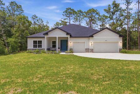 New construction Single-Family house 1427 W Mineral Ct, Hernando, FL 34442 - image