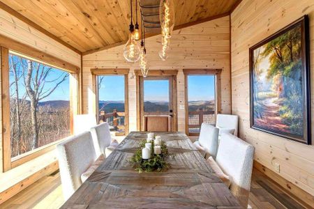 New construction Single-Family house 470 Skylight Dr Nw, Blue Ridge, GA 30513 - image