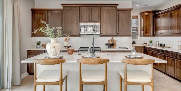 New construction Single-Family house 43460 N Hinoki St, Queen Creek, AZ 85140 plan Sapphire - image 10