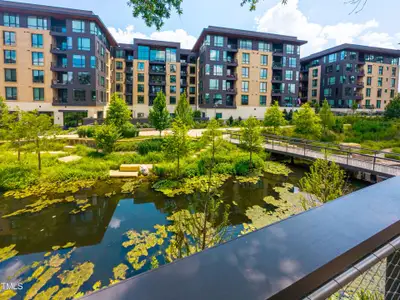 New construction Single-Family house 802 Warren Ave, Cary, NC 27511 - image