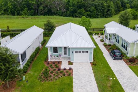 New construction Single-Family house 12078 Lakeshore Way, Wildwood, FL 34484 Keyton- photo 0