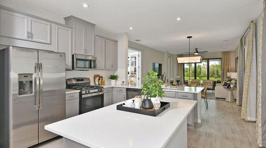 New construction Single-Family house 765 Steel Dr, Apollo Beach, FL 33572 plan Saint Vincent - image