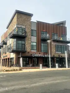 New construction Single-Family house 287 Beacon Dr, Pittsboro, NC 27312 - image