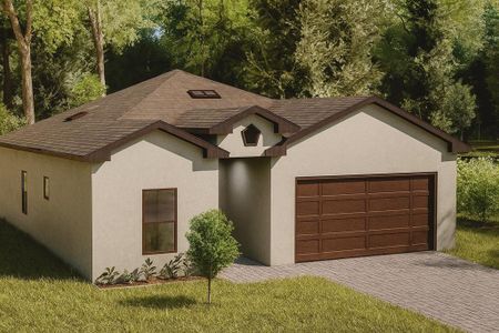 New construction Single-Family house 270 Diogenes St, Dunedin, FL 34698 - image