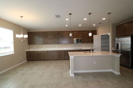 New construction Single-Family house 38326 Tobiano Loop, Dade City, FL 33525 Casanova- photo 109 109