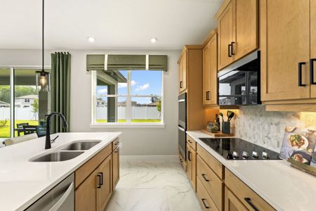 New construction Single-Family house 9623 Peace Dr, Orlando, FL 32832 plan Shenandoah - image 11