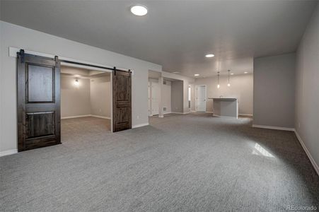 New construction Single-Family house 366 Hardstone Dr, Monument, CO 80132 - image 10