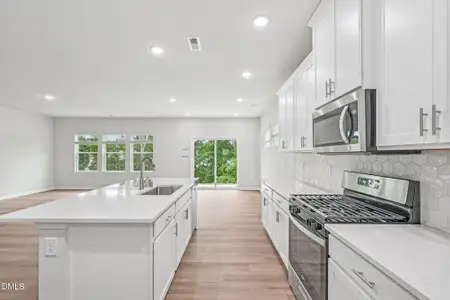 New construction Single-Family house 264 Thistle Patch Pl, Angier, NC 27501 plan Johnson - image 5