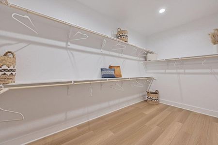 Spacious closet with wood-type flooring