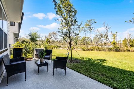 New construction Townhouse house 824 Longboat Dr, Davenport, FL 33896 null- photo 37 37