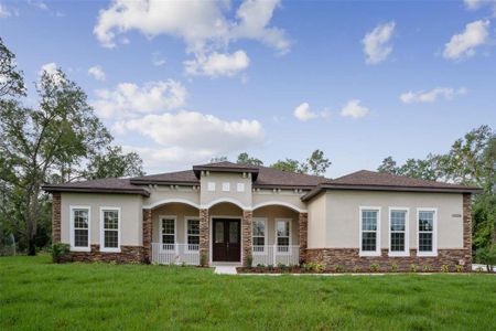 New construction Single-Family house 18813 Mosby St, Orlando, FL 32833 - image