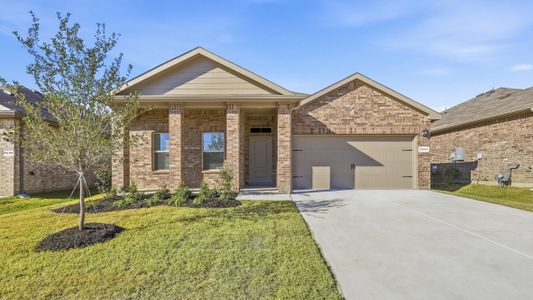 New construction Single-Family house 204 Affirmed Ct, Granbury, TX 76049 plan Starkville - image