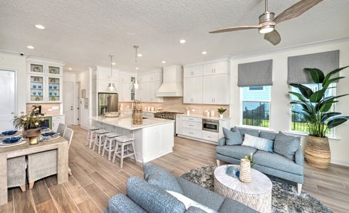 New construction Single-Family house 95211 Clubhouse Rd, Fernandina Beach, FL 32034 plan Brooke - Pinnacle Series | 80' Wide Lots - image 13