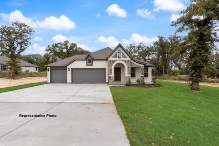 New construction Single-Family house 324 Skeen Peak, Springtown, TX 76082 - image