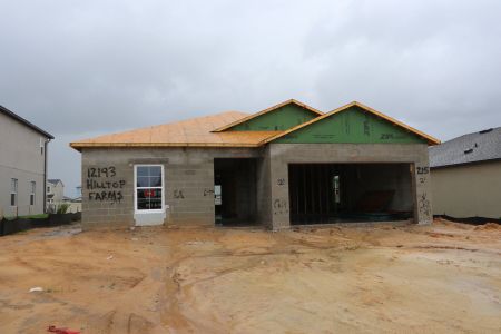 New construction Single-Family house 12193 Hilltop Farms Dr, Dade City, FL 33525 Sentinel- photo 3 3