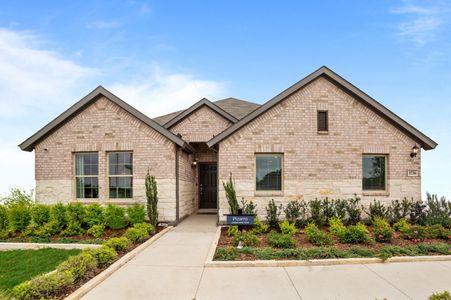 New construction Single-Family house 1736 Shad Bush Dr, Fort Worth, TX 76131 plan Pizarro - image
