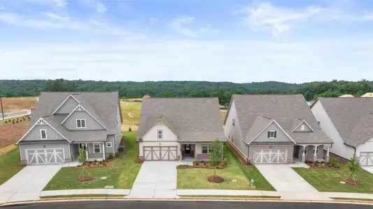 New construction Single-Family house 2576 Freshwater Ct, Gainesville, GA 30507 - image