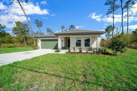 New construction Single-Family house 6241 Freeport Dr, Spring Hill, FL 34608 - image