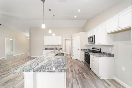 New construction Single-Family house 5740 Sw 116Th Place Rd, Ocala, FL 34476 - image 12