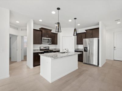 New construction Single-Family house 971 S Paseo, Sahuarita, AZ 85629 plan Garden - image