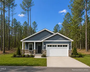 New construction Manufactured Home house 275 Raynor Sands Dr, Dunn, NC 28334 - image