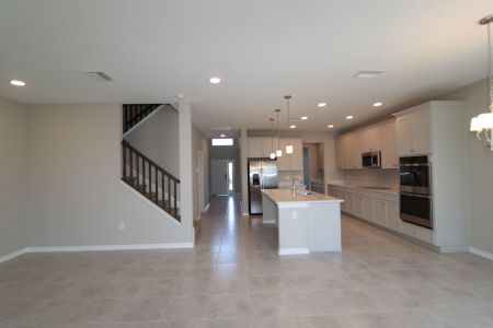 New construction Single-Family house 38338 Tobiano Loop, Dade City, FL 33525 Mira Lago- photo 159 159