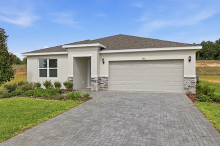 New construction Single-Family house 2572 Raghav Trail Rd, Tavares, FL 32778 plan Sky - image