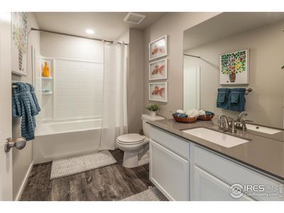 New construction Single-Family house 6100 Gault Rd, Timnath, CO 80547 - image 15