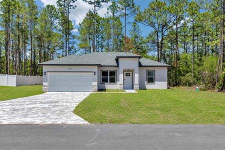 New construction Single-Family house 3381 W Usher Dr, Citrus Springs, FL 34433 - image