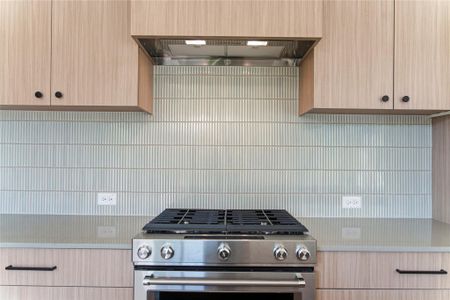 New construction Condo house 10813 Hermosillo Dr, Unit 1005, Austin, TX 78758 - image 14