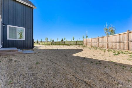 New construction Single-Family house 13267 Platinum Ct, Parker, CO 80134 Hayden II - photo 3 3