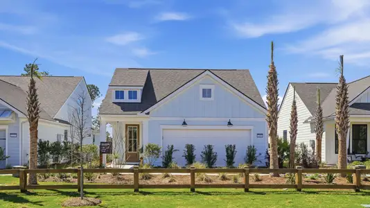 New construction Single-Family house 2337 Bay Strip Dr, Charleston, SC 29492 plan Hallmark - image