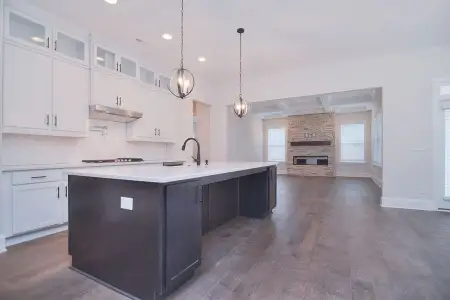 New construction Single-Family house 1264 Sage Pine Cir, Clover, SC 29710 plan Bethpage - image 12