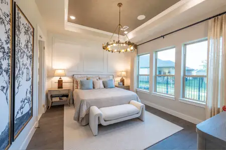 New construction Single-Family house 901 Capella Ln, Mansfield, TX 76063 plan Arabella - image 8