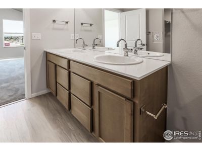 New construction Single-Family house 6116 Dutch Dr, Timnath, CO 80547 plan Edison - image 19