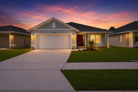 New construction Single-Family house 1667 Ann Rose Wy, Leesburg, FL 34748 - image
