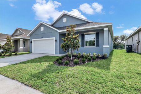 New construction Single-Family house 530 Ellie Ct, Apopka, FL 32703 null- photo 0